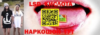 Альфа ПВП Заводоуковск