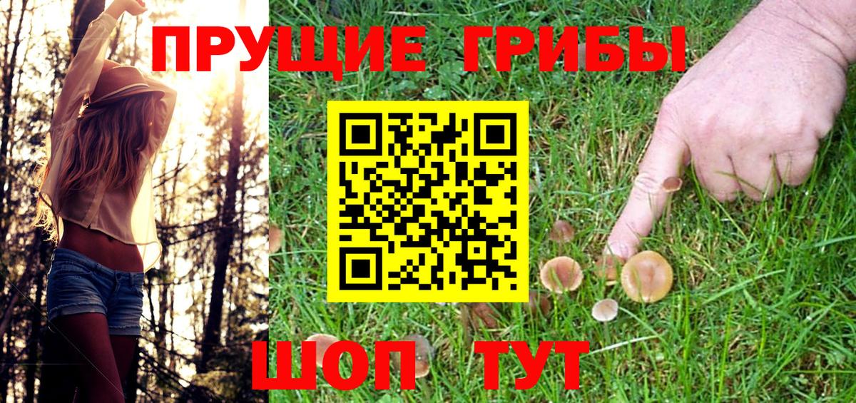 Галлюциногенные грибы Psilocybe Магнитогорск
